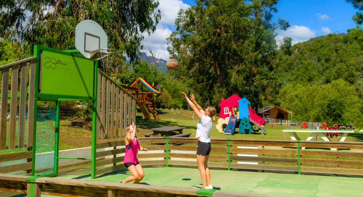 sole di sari - activit&eacute;