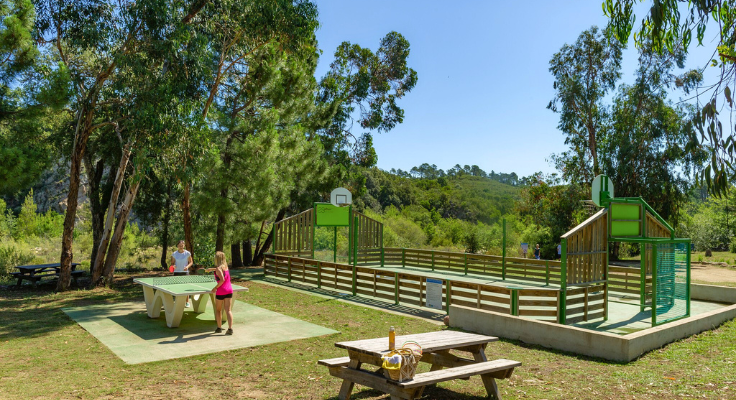 sole di sari - activit&eacute;s